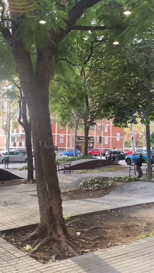 Foto de Raíces